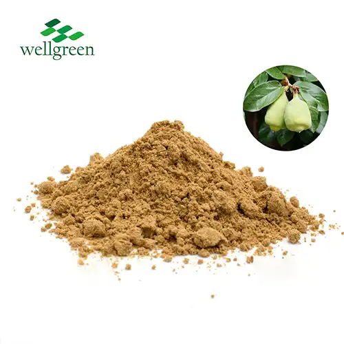 Ficus Pumila Extract